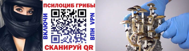 блэк спрут ССЫЛКА  Пыть-Ях  Галлюциногенные грибы GOLDEN TEACHER 